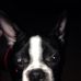 William Elting - Facebook