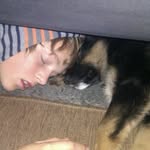 William Engblom - @willepillepyjamaskille - Instagram