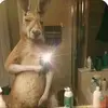 William - @williamkingeling - TikTok