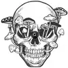 williamhenser - @williamhenser - TikTok