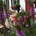 William Epling - Facebook