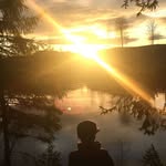 william Eriksson - @williameriksson7478 - Instagram
