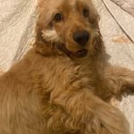 William errico - @william.errico - Instagram