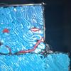 William Maesch308 - @williammaesch - TikTok
