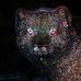 William Enright - Facebook