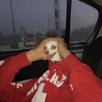 William Evans - @kvng.will3 - Instagram