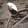 William Eversole - @williameversole7 - TikTok