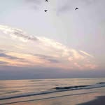 William Ewen - @ewen6422 - Instagram