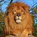 William Farrell - Facebook