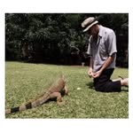 William Fallas Mesen - @williamfallasmesen - Instagram