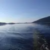 William Farquharson - @williamfarquhars - TikTok
