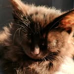 William Farquharson - @farquharson.william - Instagram