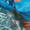 William - @william.fast - TikTok
