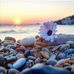 William Fouad - Facebook