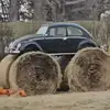 williamfeltner64 - @williamfeltner64 - TikTok