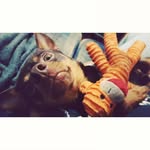 William Felts - @will_felts420 - Instagram