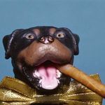 William E. Fifer - @fiferwilliam - Instagram