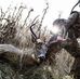 William Fisk - Facebook