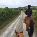 William Fisk - @williamjack22 - Instagram