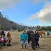 William Fisk fair bear - @william.fisk.fair - TikTok