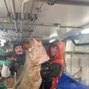 williamfiskerstrand - @williamfiskerstrand - TikTok