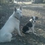 william flanigan - @wildbillcsa1952 - Instagram