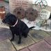 William Flatt - Facebook