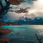 William Flecha - @1629.william - Instagram
