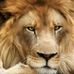 William Flahs - Facebook