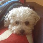William Fleig - @williiiiiaaaaaammmmm - Instagram