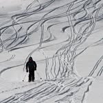 William Flesch - @wflesch - Instagram