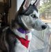 William Flesch - Facebook