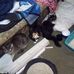 William Flibotte - Facebook