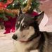 Bill Flinchbaugh - Facebook