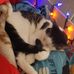 William Foisy - Facebook