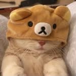 @william_fok_1.1 - Instagram