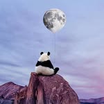 William Fok - @williamfok820901 - Instagram