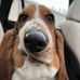 William Volden - Facebook