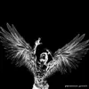 william font - @william.font2 - TikTok