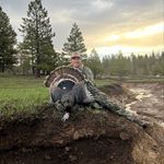 William Fontenot - @william.fontenot - Instagram