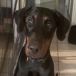 William Fontaine - @fontainewilliam2510 - Instagram
