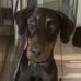 William Fontaine - Facebook