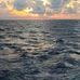 William Foo - Facebook