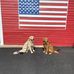 William Foo - Facebook