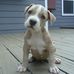 William Foos - Facebook