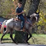 William Forbush - @william__96__ - Instagram