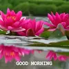 Waqar_Ali_Rathur - @wwilliam.force - TikTok