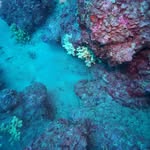 William Forde - @bedigaschow60 - Instagram