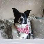 William Foreman - @william.foreman.102 - Instagram