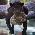 William Forrester - @forrester6072 - Instagram